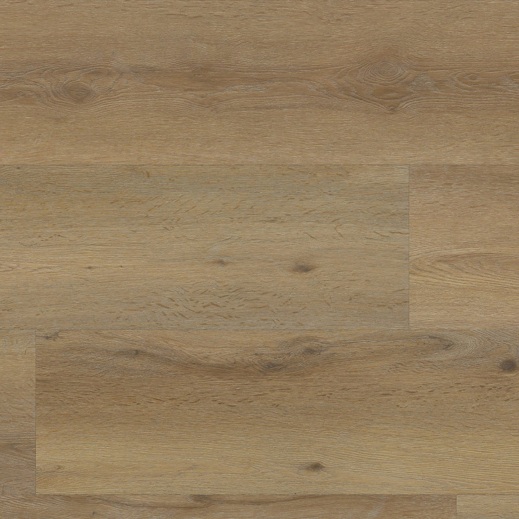 Vivero dryback dark oak