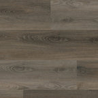 Avanto click SRC dark grey