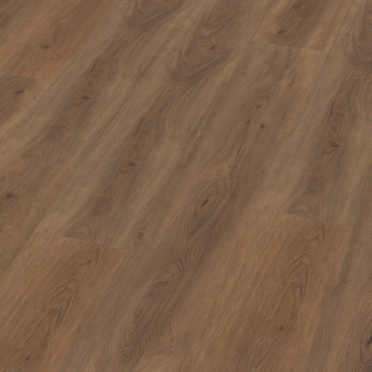 Robusto click SRC warm brown 3D