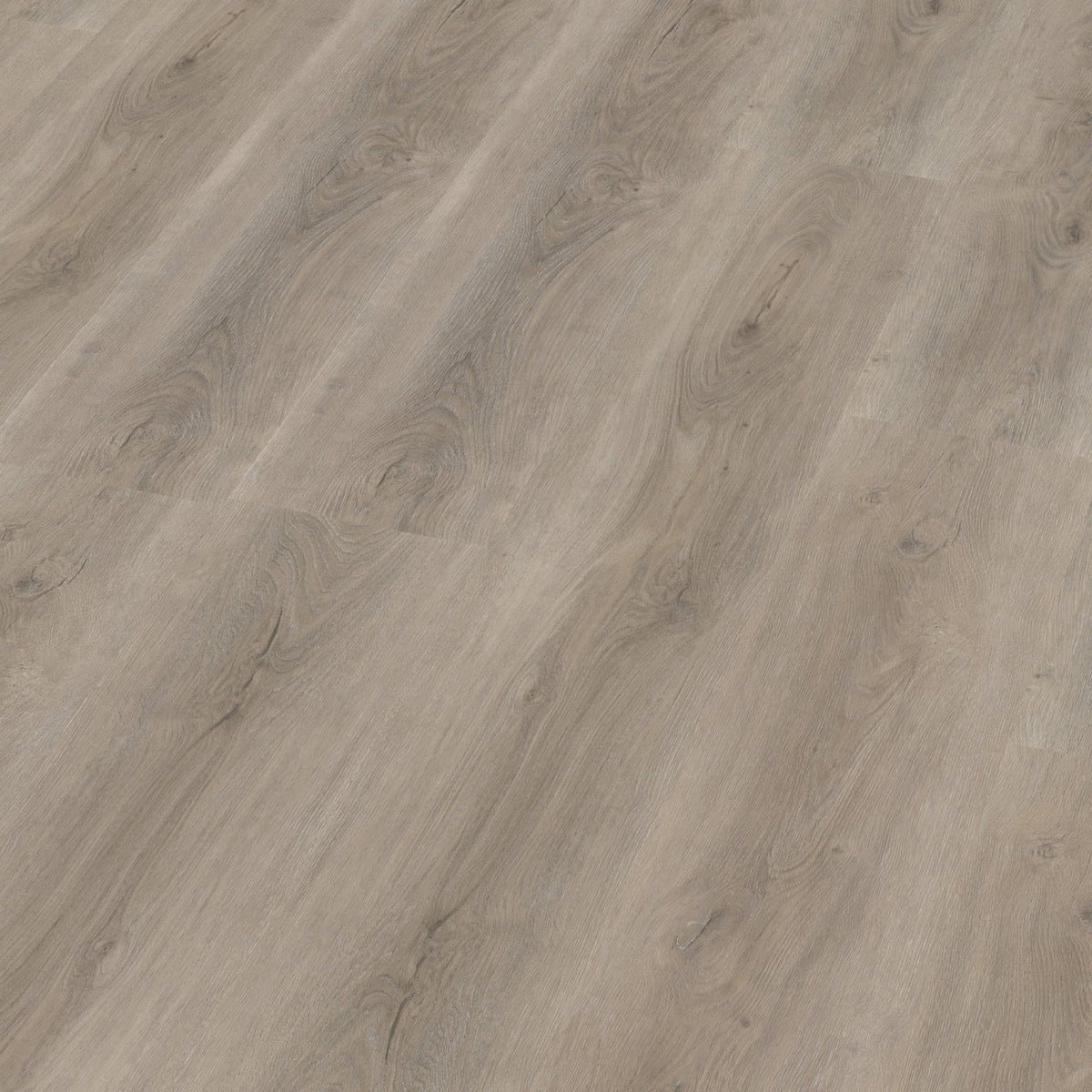 Robusto click SRC light grey 3D
