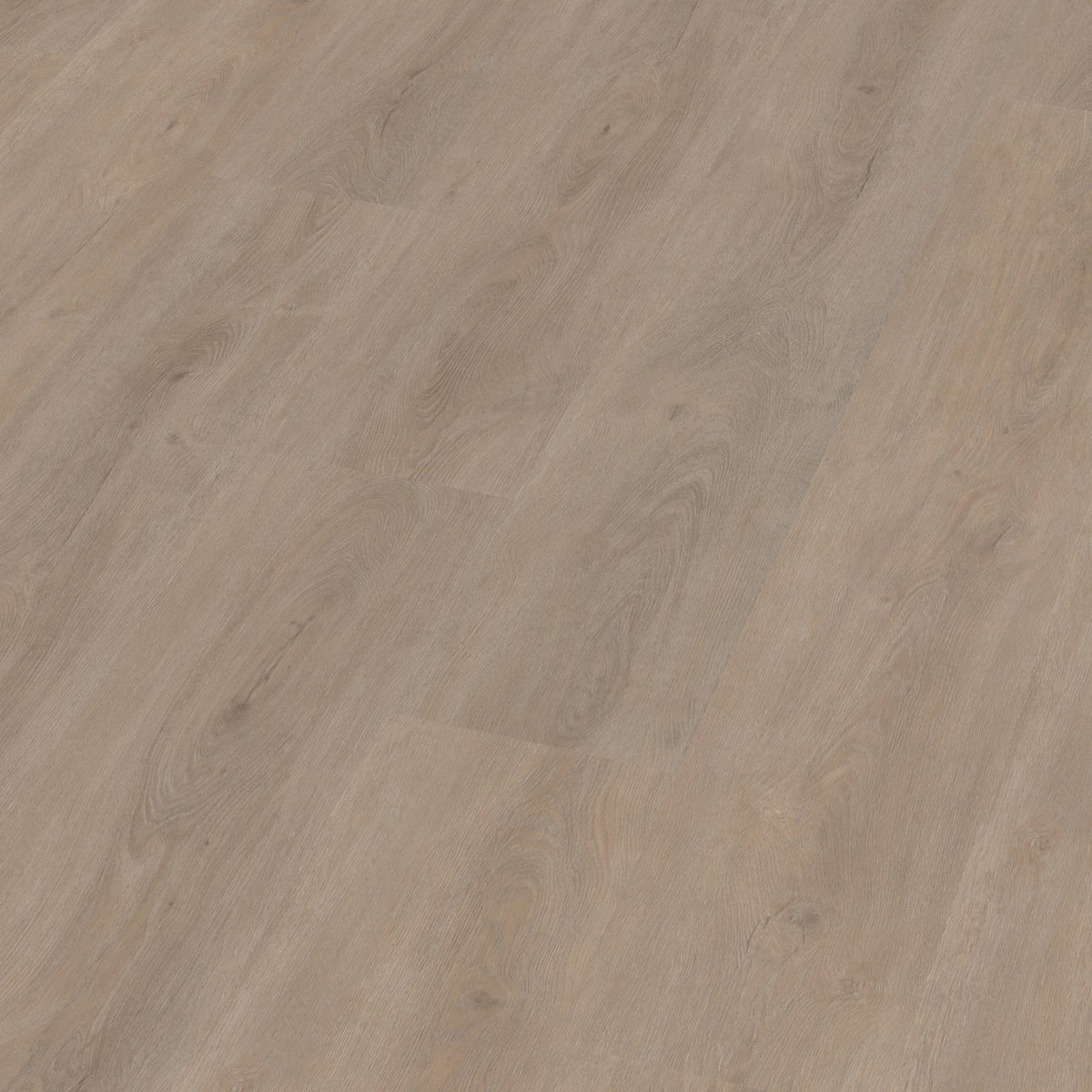 Robusto click SRC light oak 3D