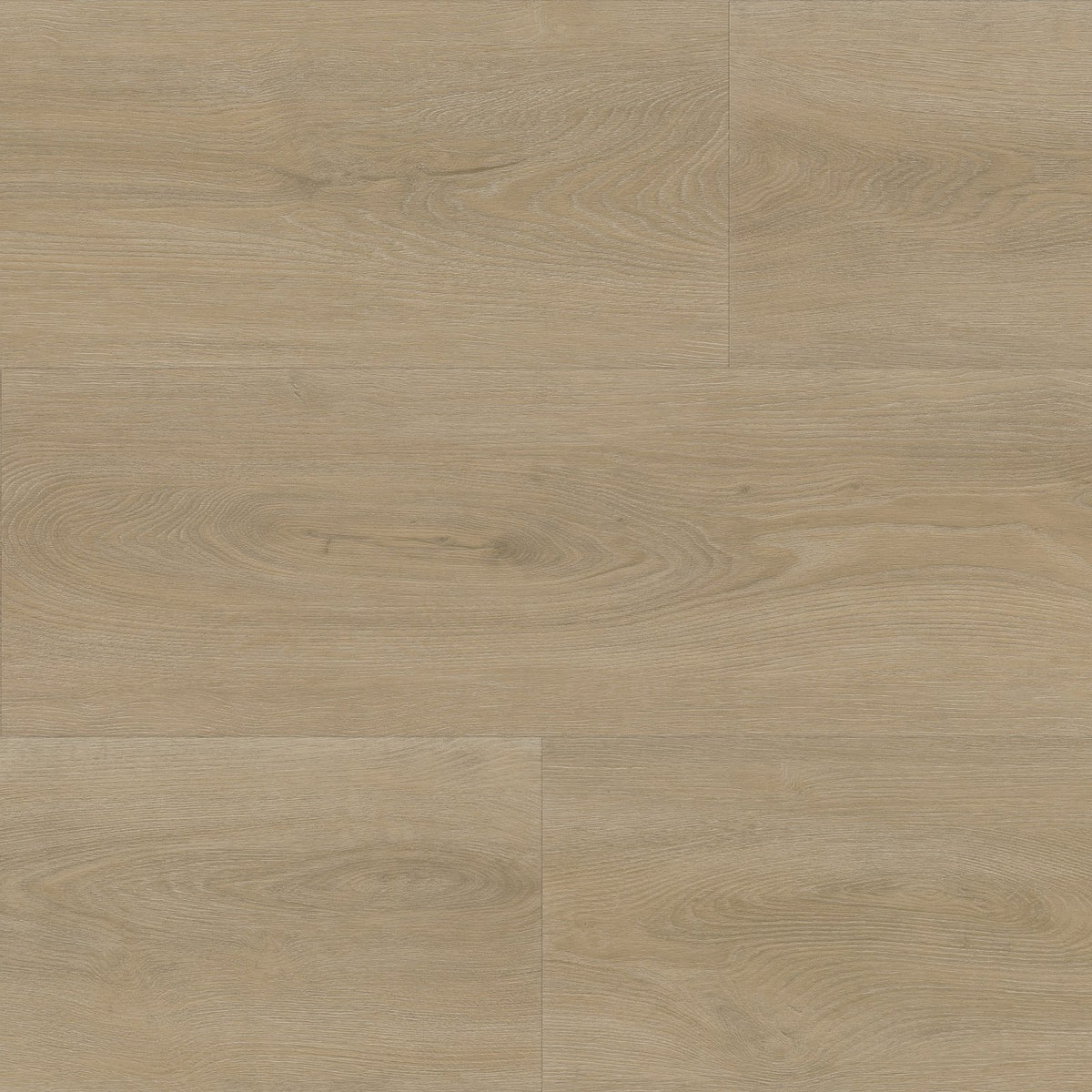 Robusto click SRC beige