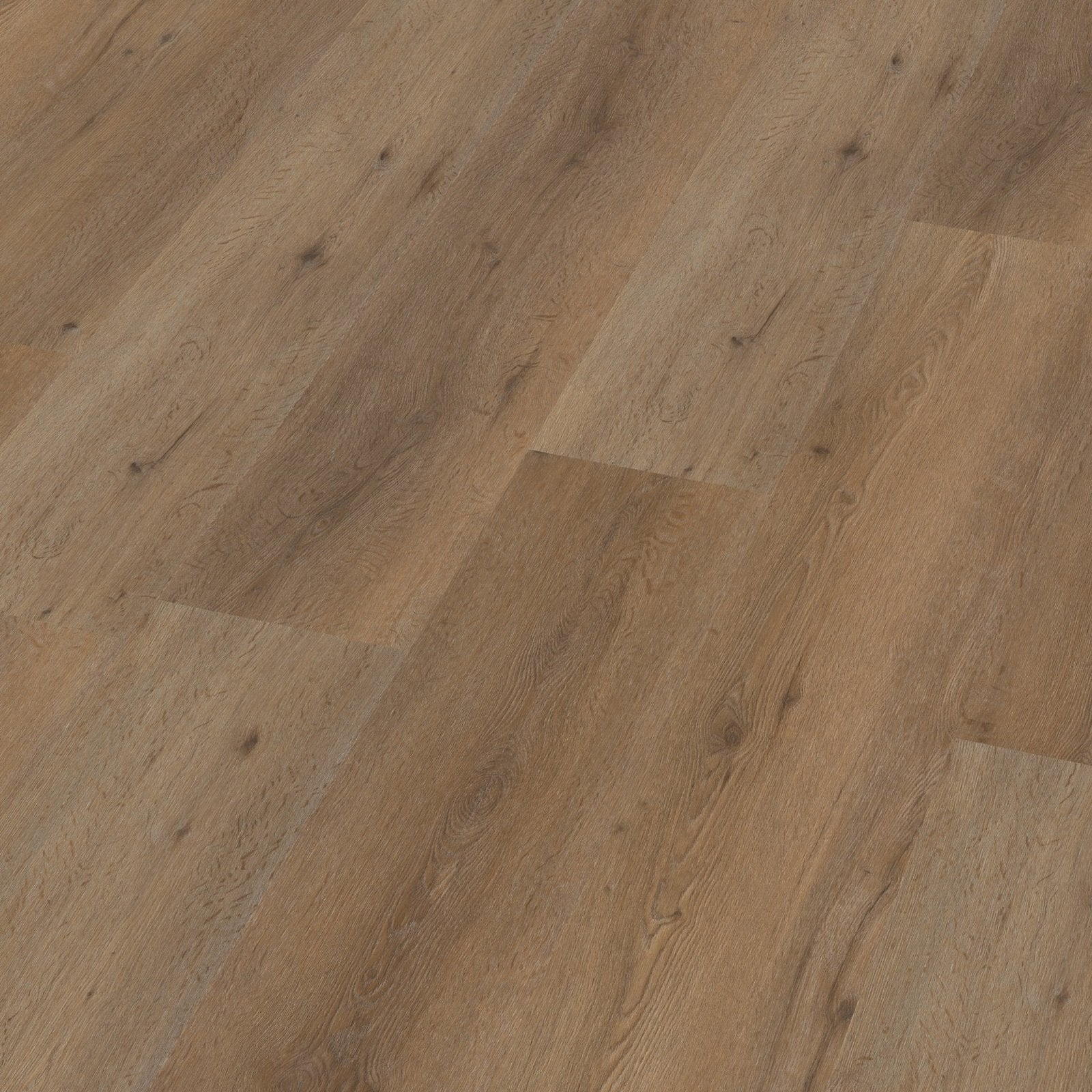 Vivero click SRC smoky 3D