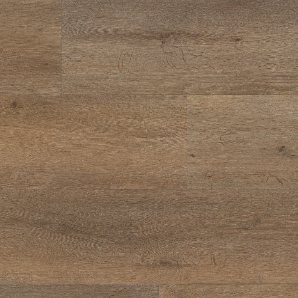 Vivero click SRC smoky