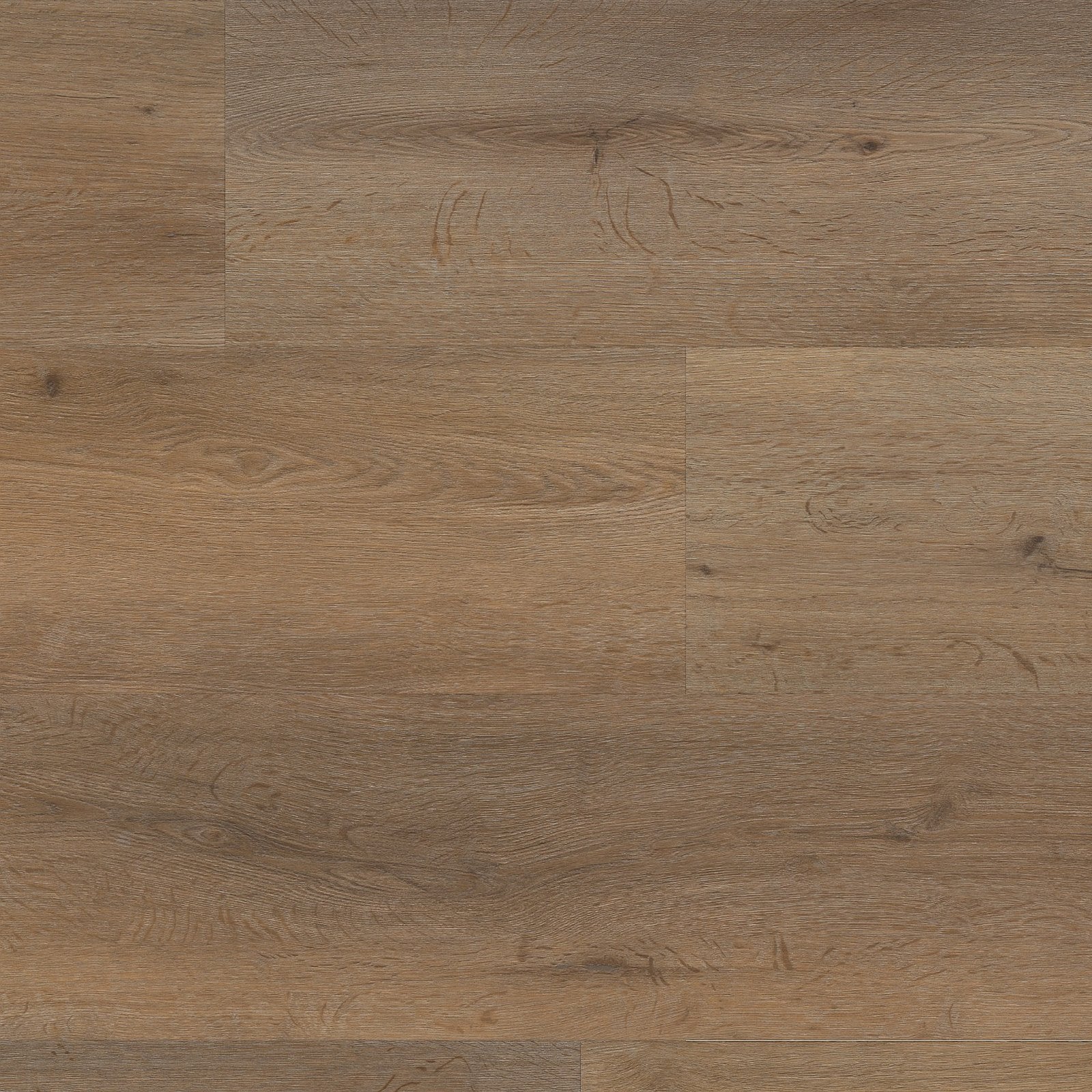 Vivero click SRC smoky
