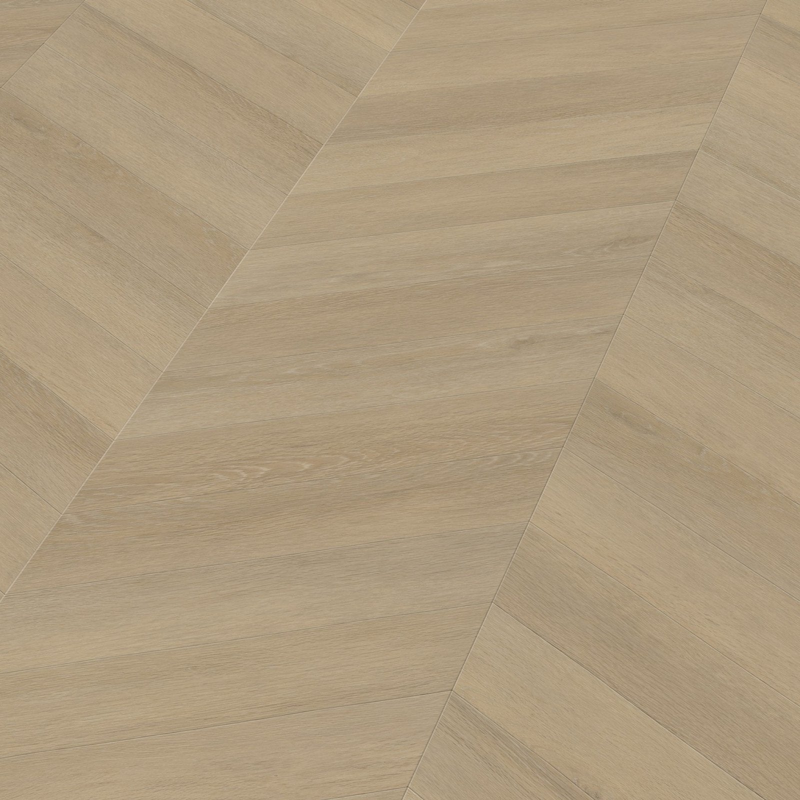 Noble dryback natural 3D