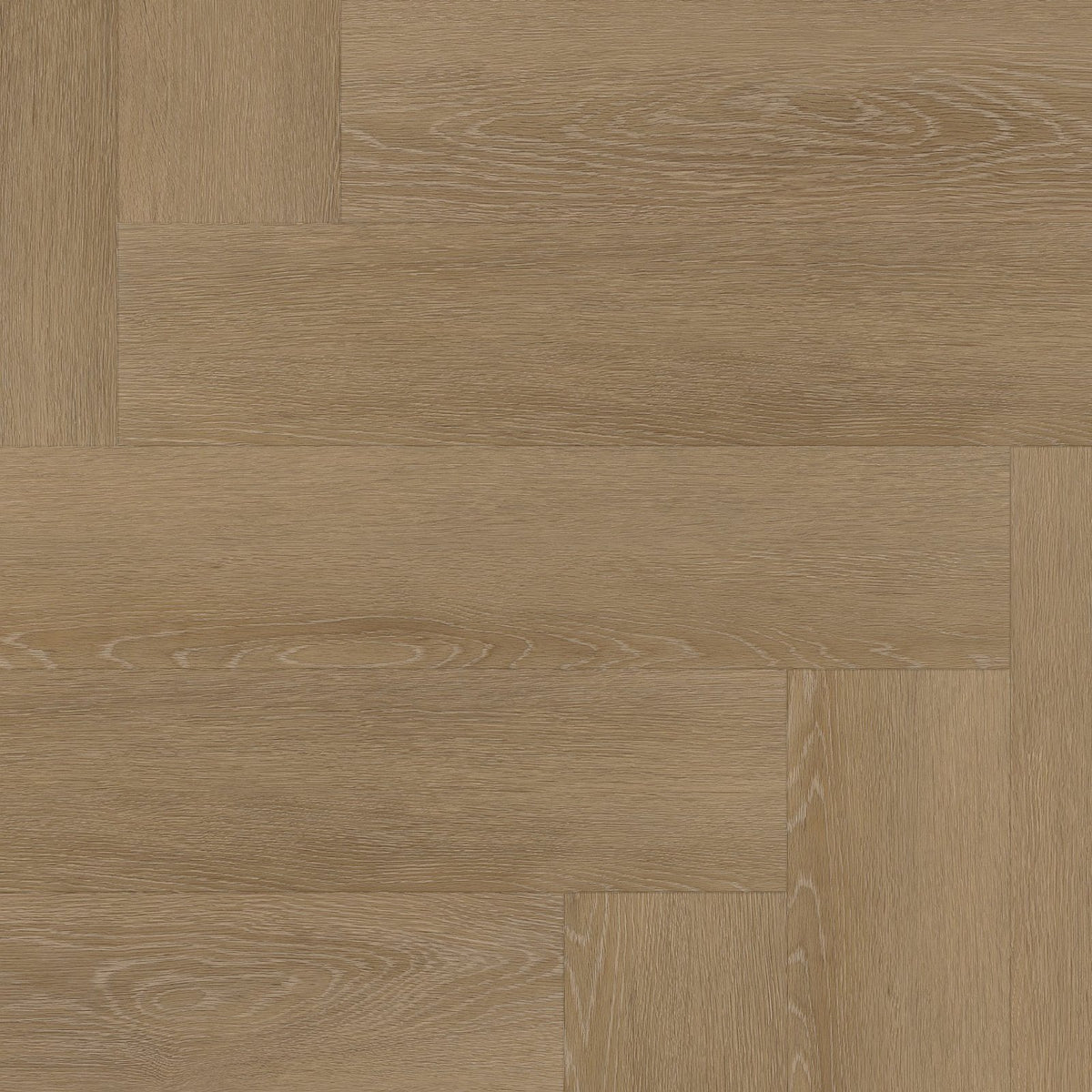 Herringbone click SRC sun kissed