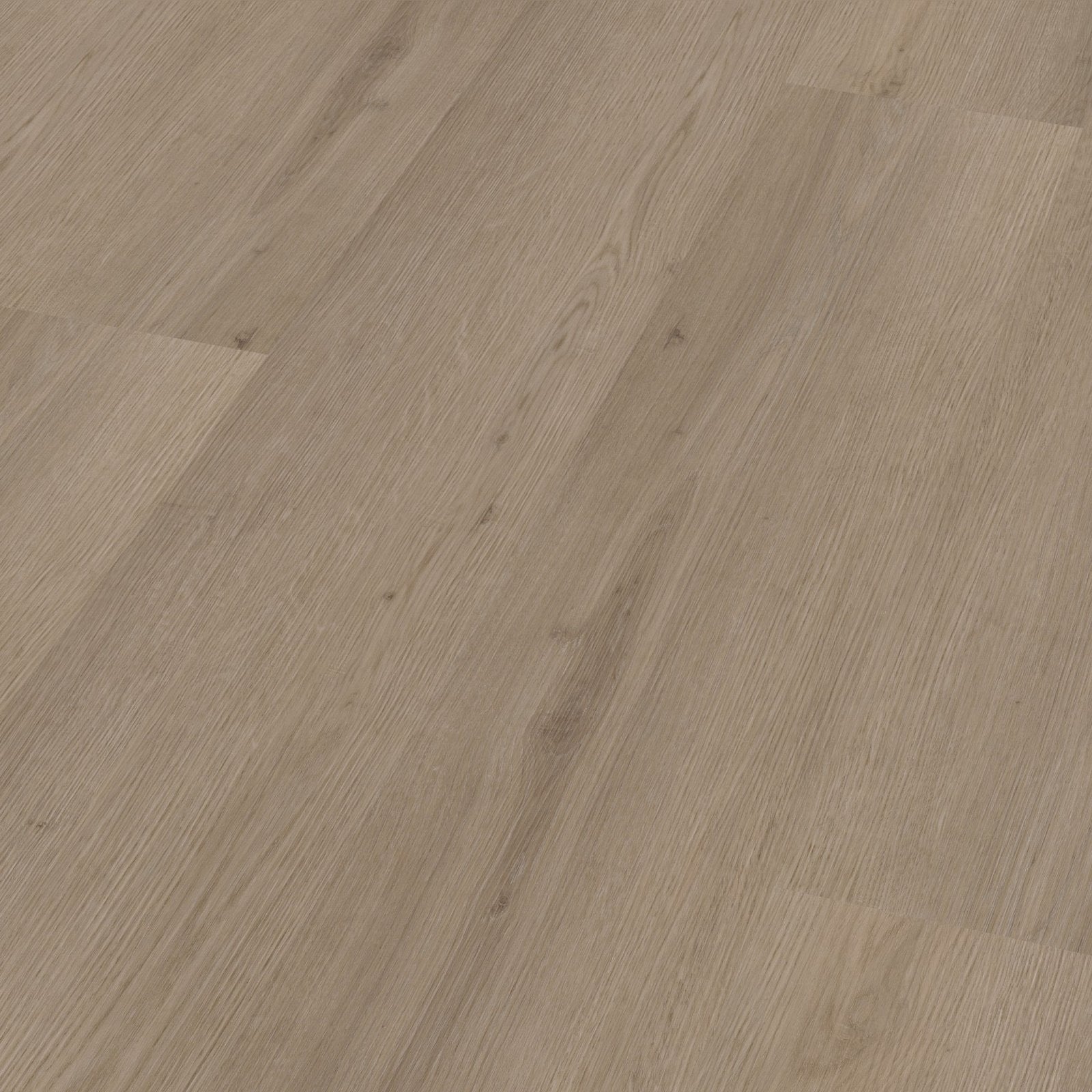 Venera dryback smoky 3D