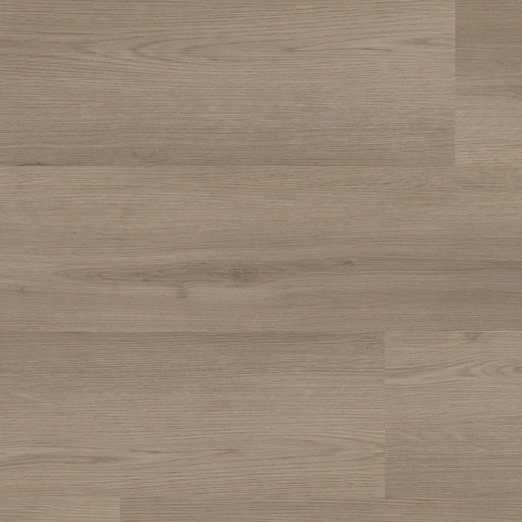 Venera dryback smoky