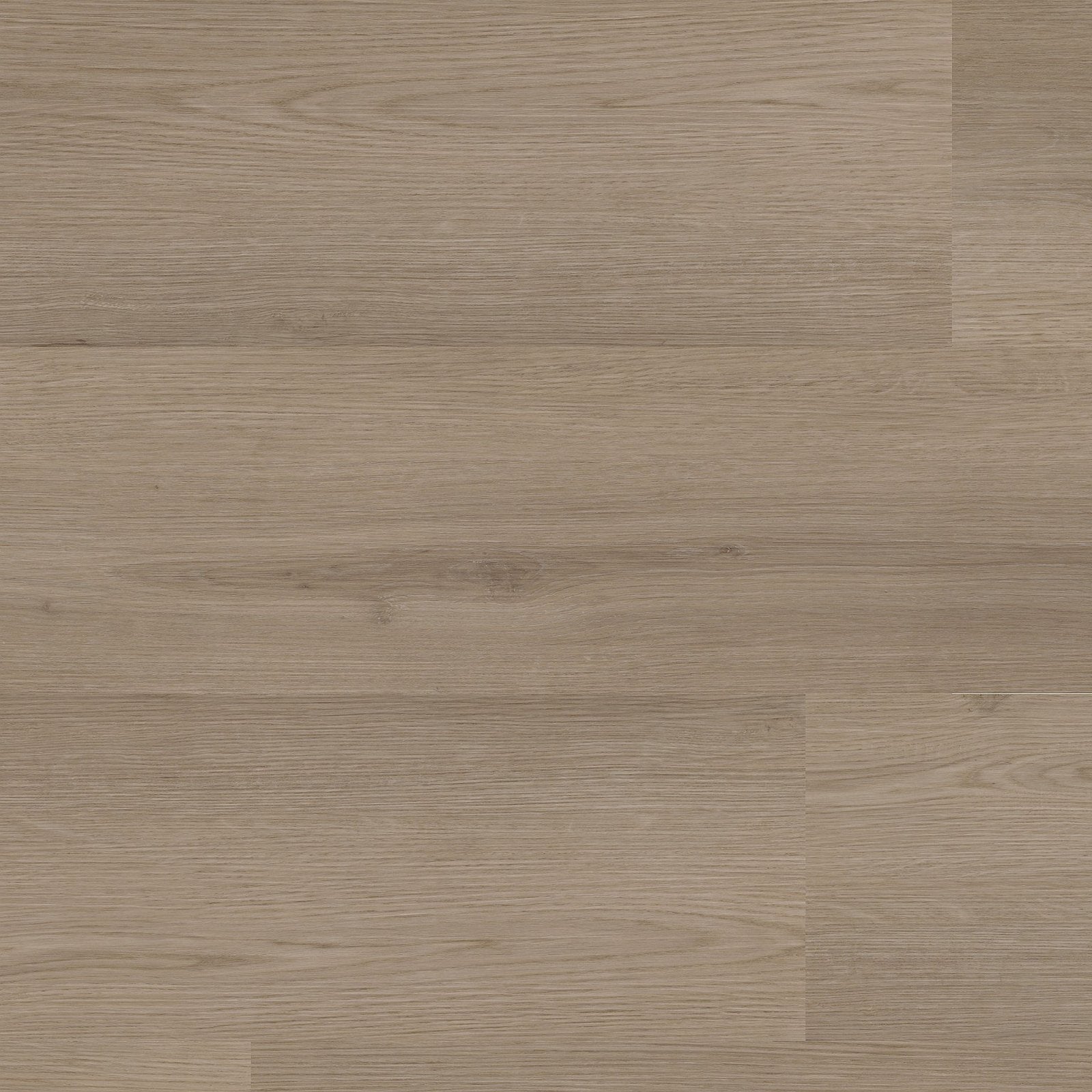 Venera dryback smoky