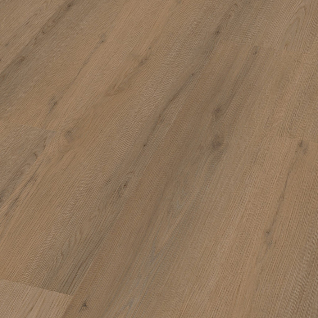 Venera dryback dark oak 3D