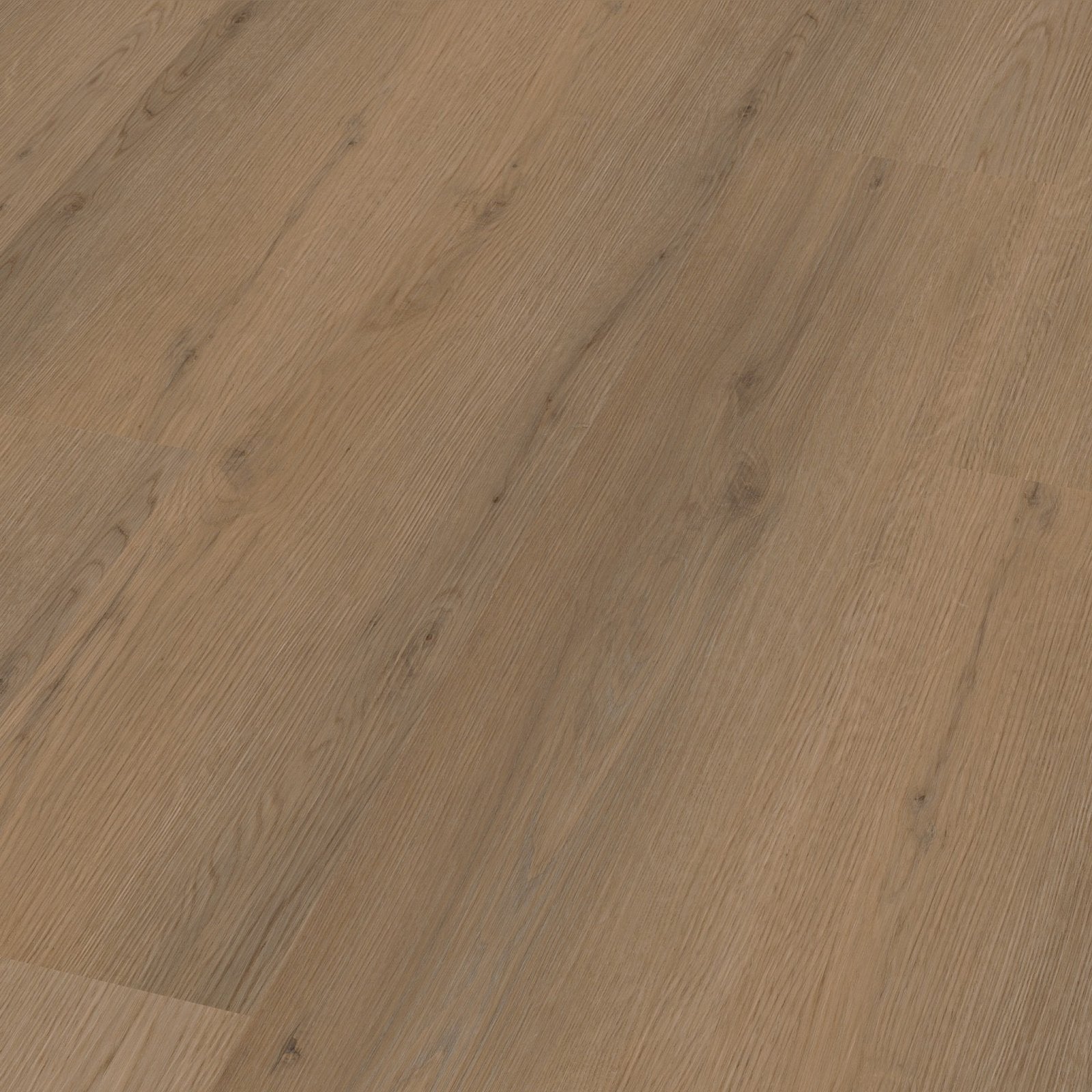 Venera dryback dark oak 3D