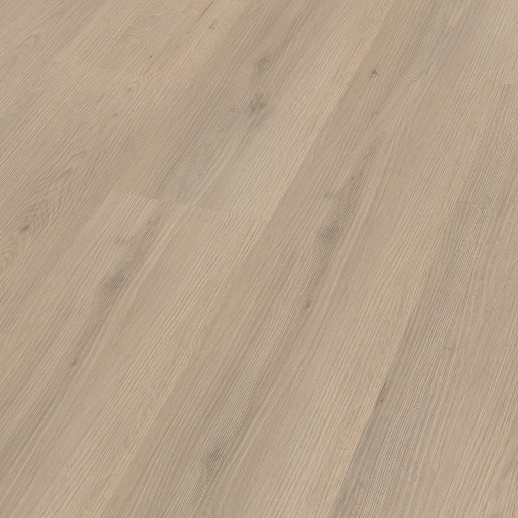 Venera dryback beige 3D