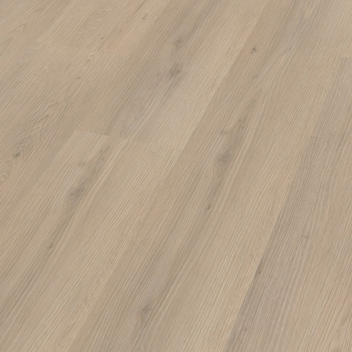 Venera dryback beige 3D