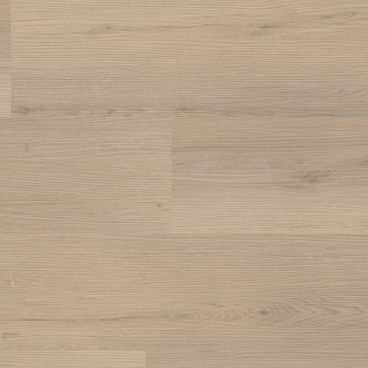 Venera dryback beige