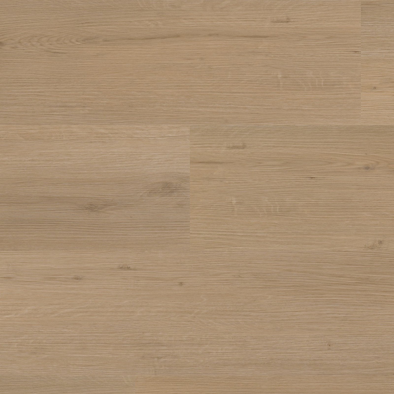 Venera dryback natural oak