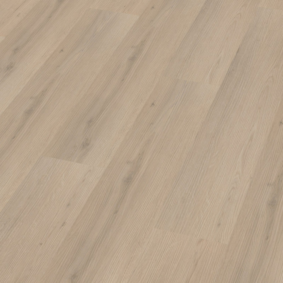 Venera click beige 3D
