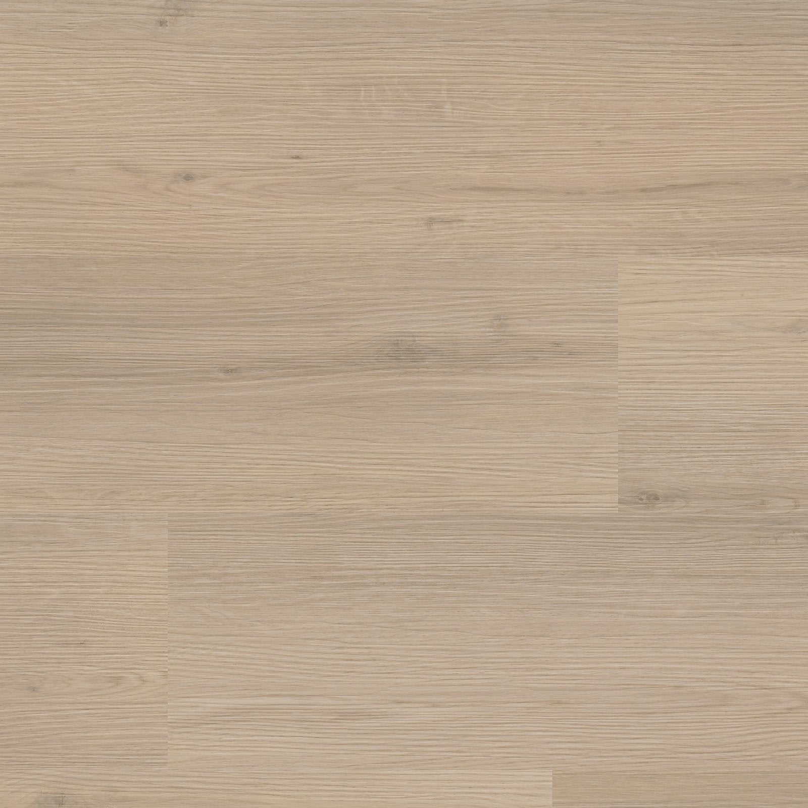 Venera click beige