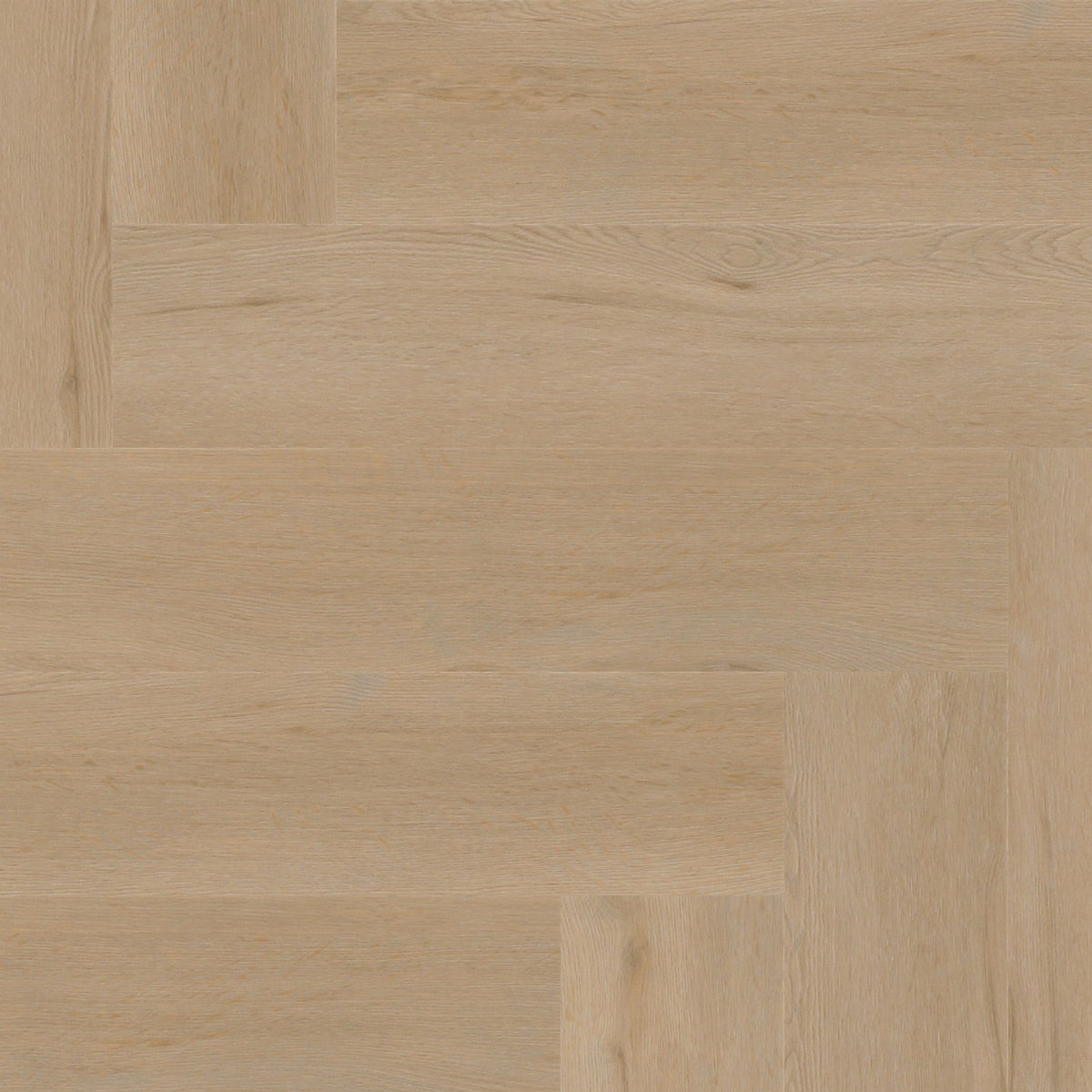 Spigato Vivero visgraat click SRC beige