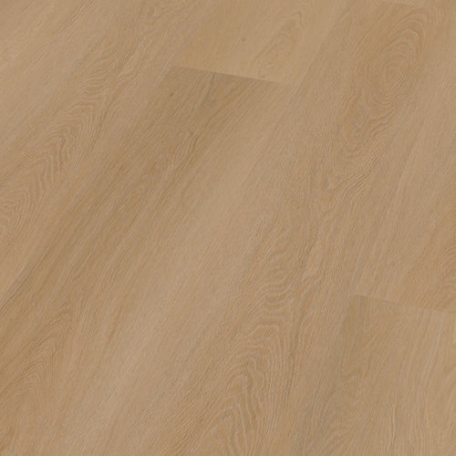 Estino dryback dark oak 3D