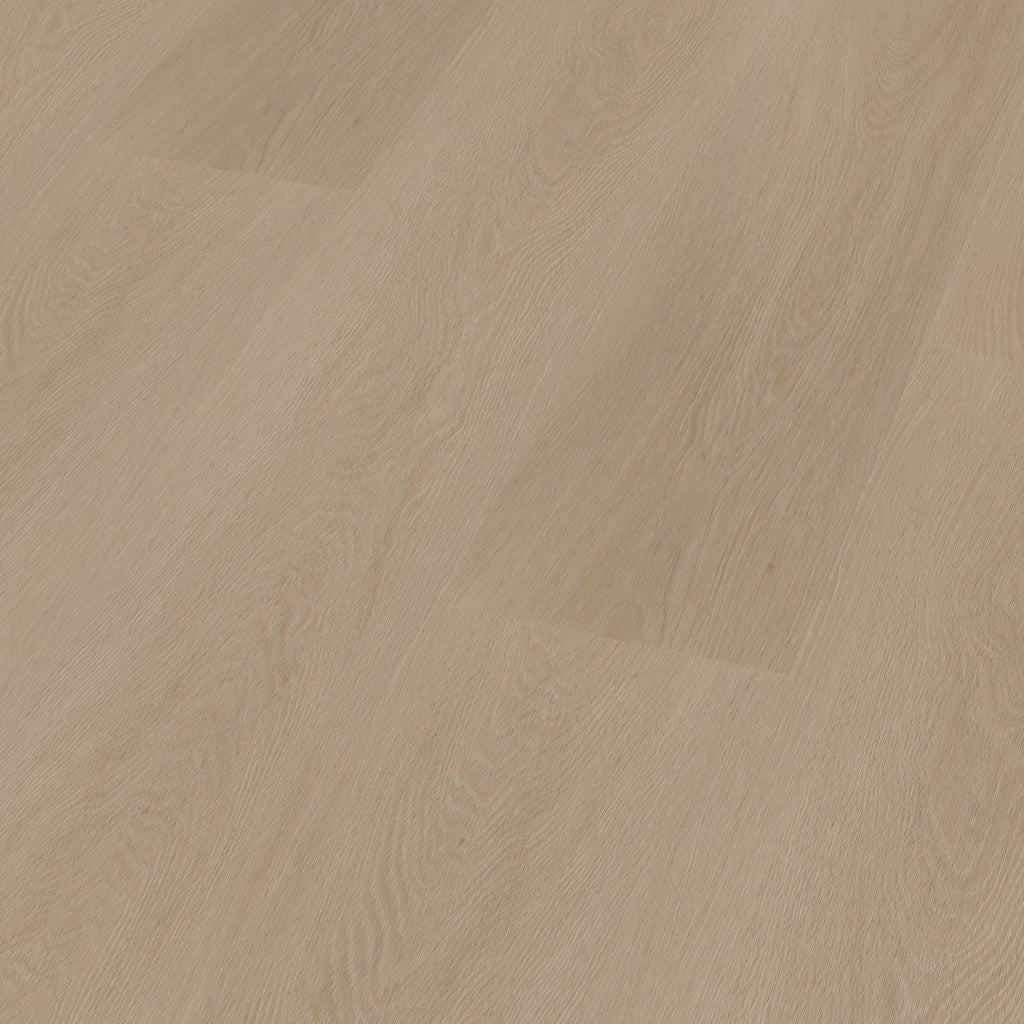 Estino dryback smoky 3D