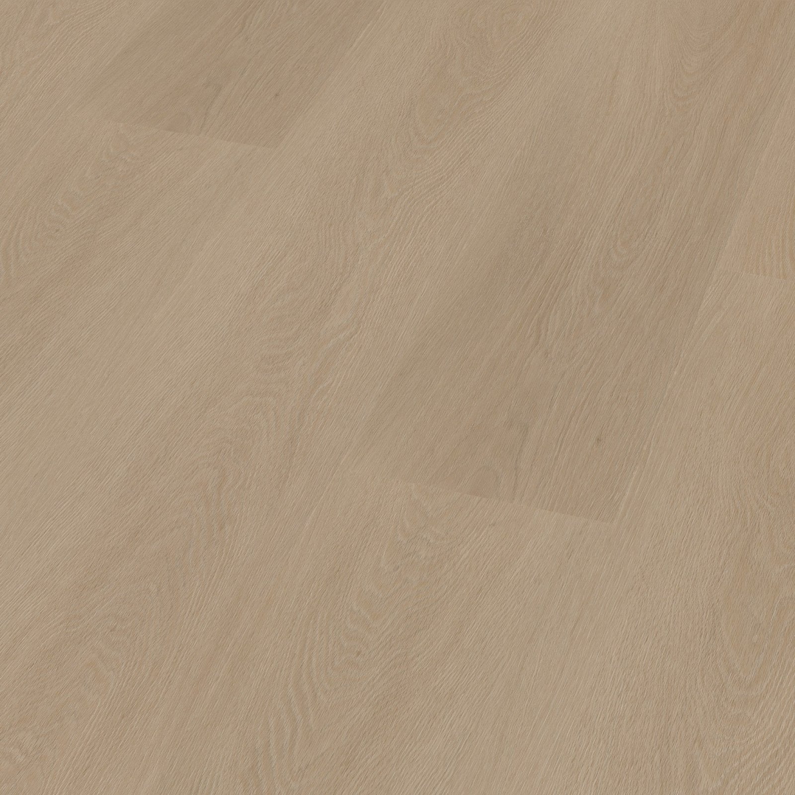 Estino dryback smoky 3D