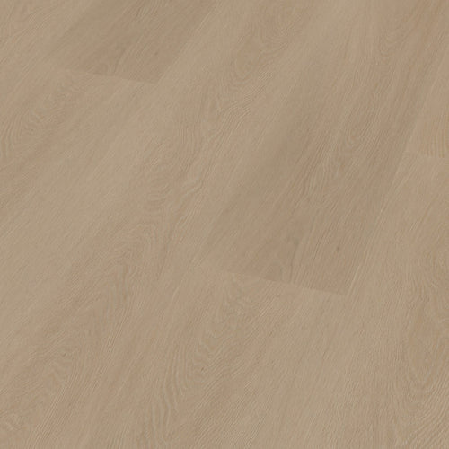 Estino dryback smoky 3D
