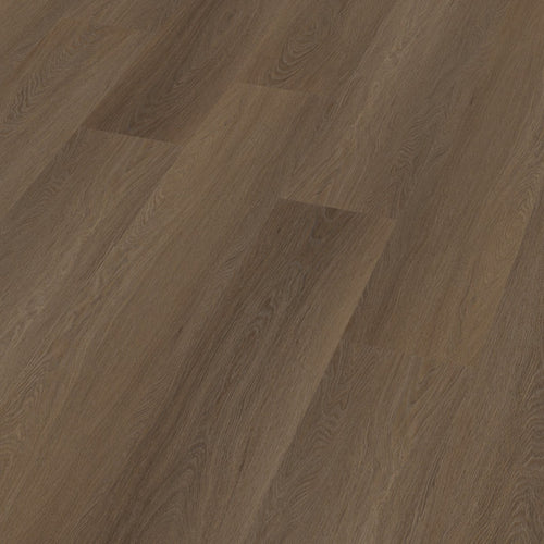 Estino dryback brown 3D