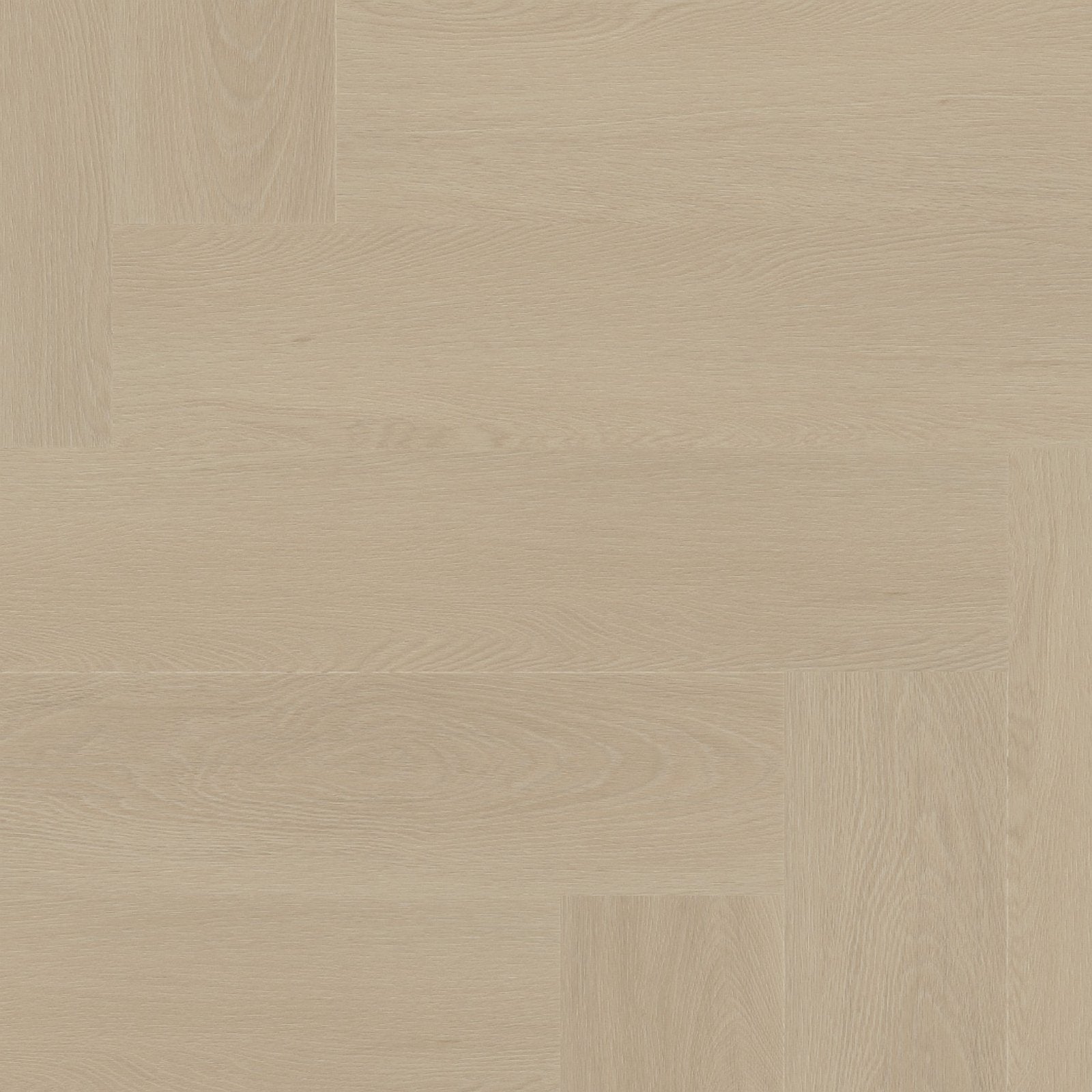Spigato Estino visgraat dryback beige