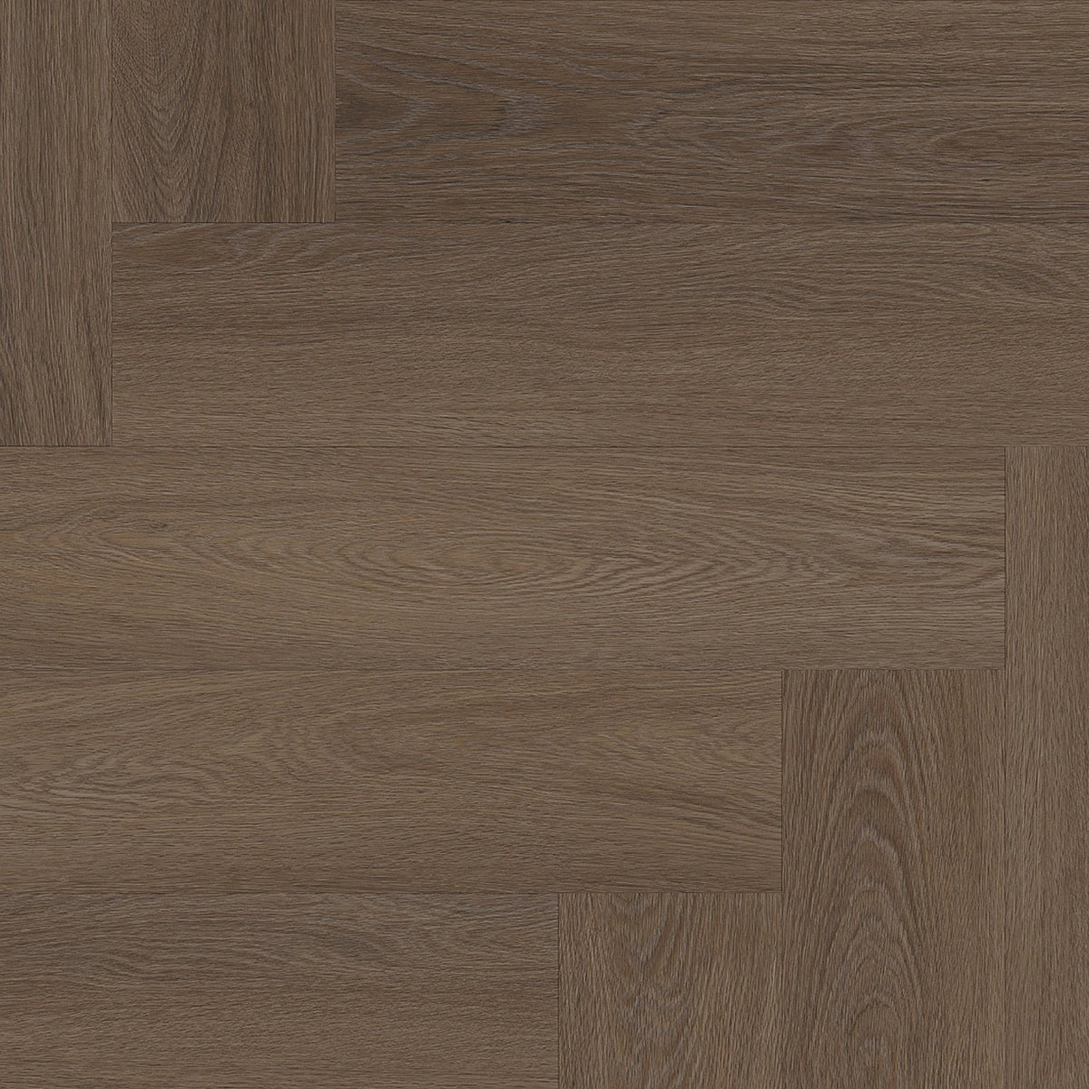 Spigato Estino visgraat dryback brown