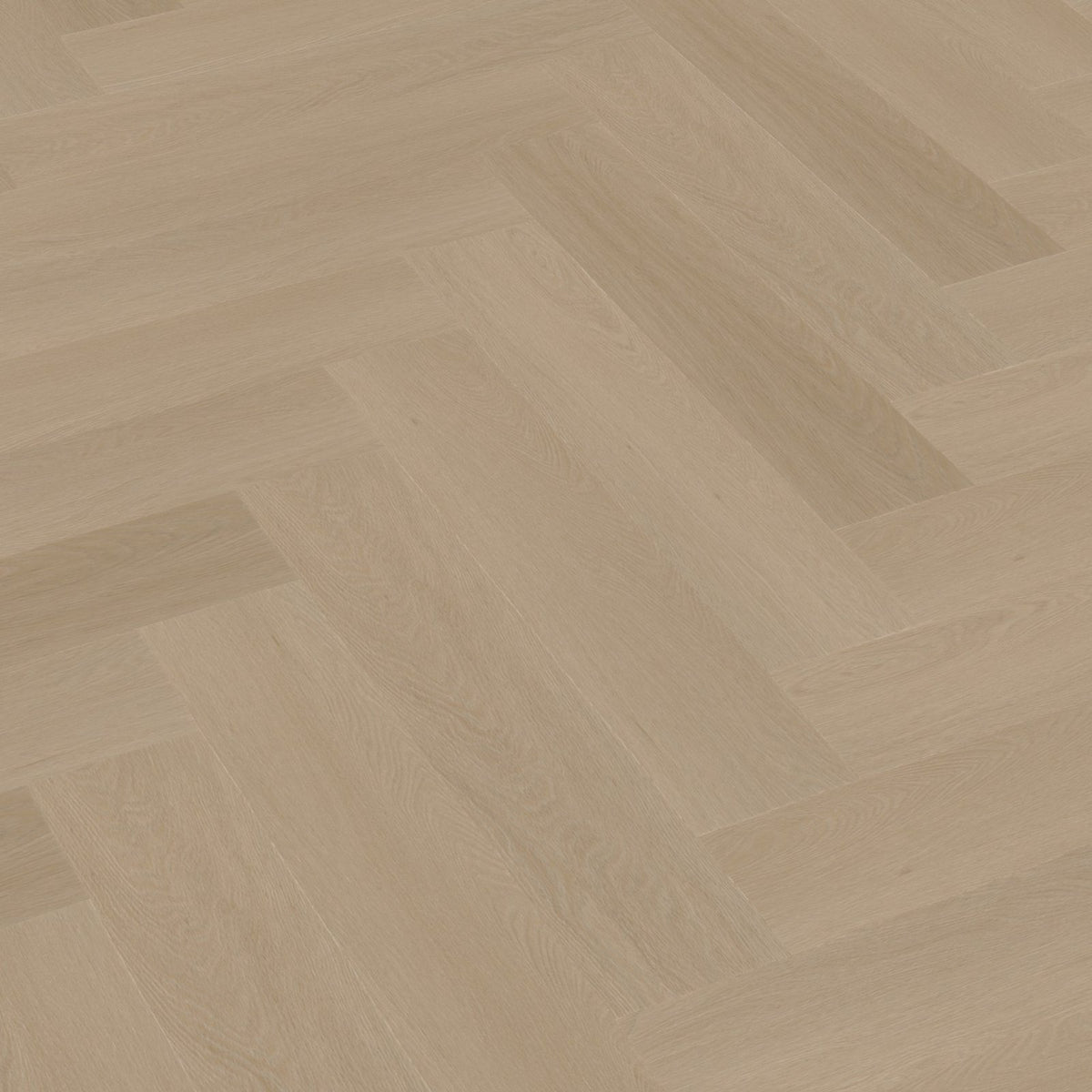 Spigato Estino visgraat click SRC smoky 3D