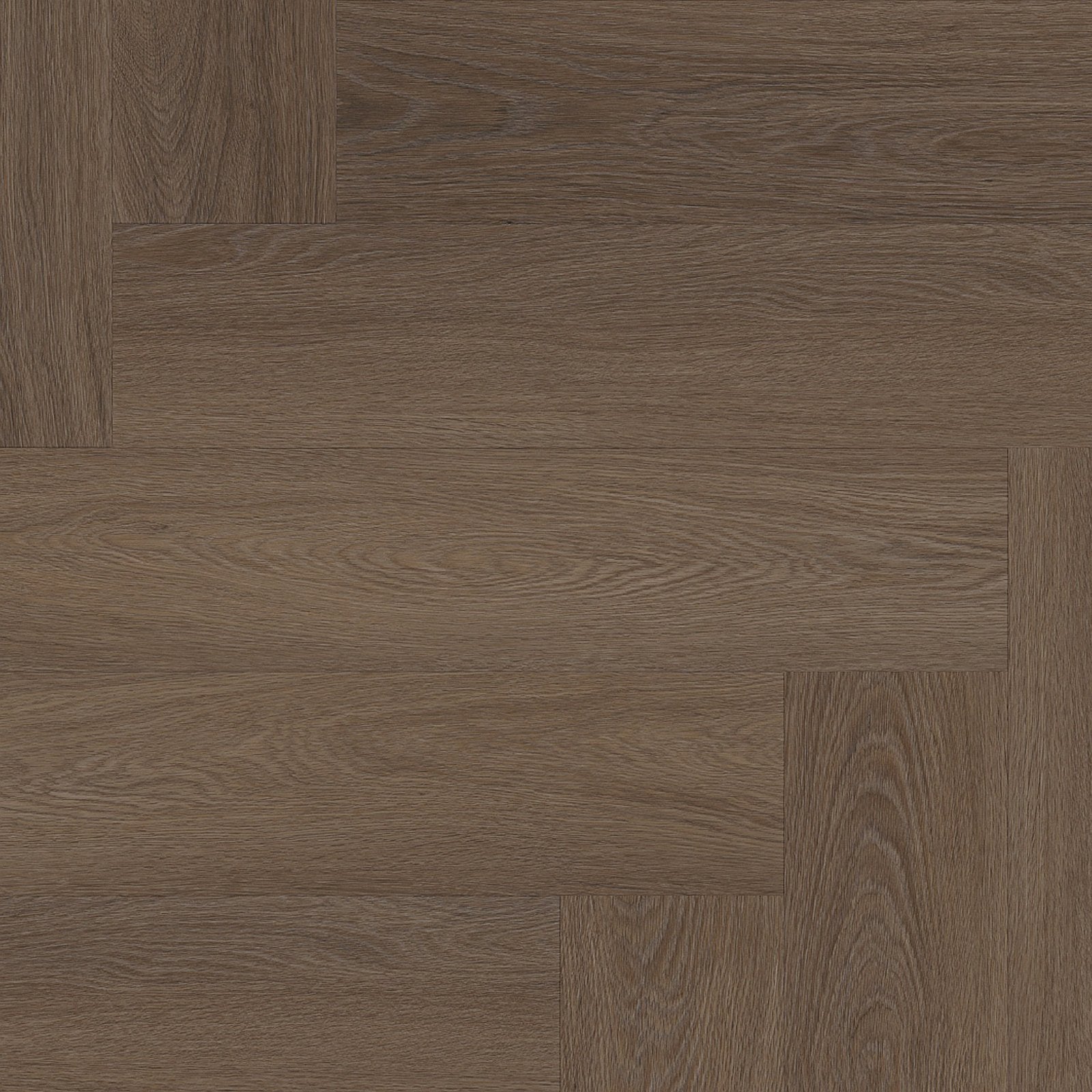 Spigato Estino visgraat click SRC brown