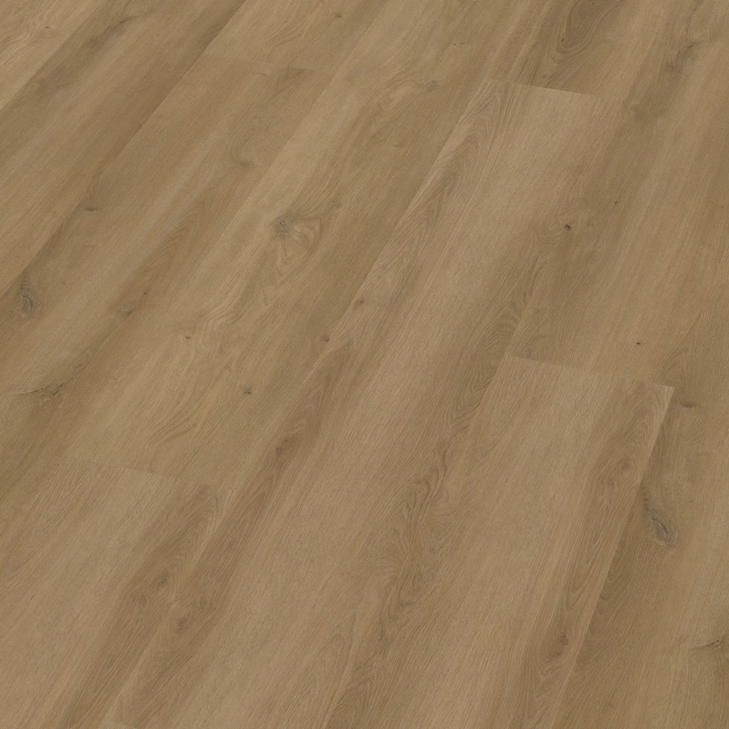 Espero dryback dark oak 3D