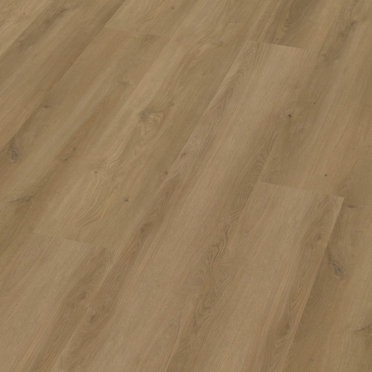 Espero dryback dark oak 3D