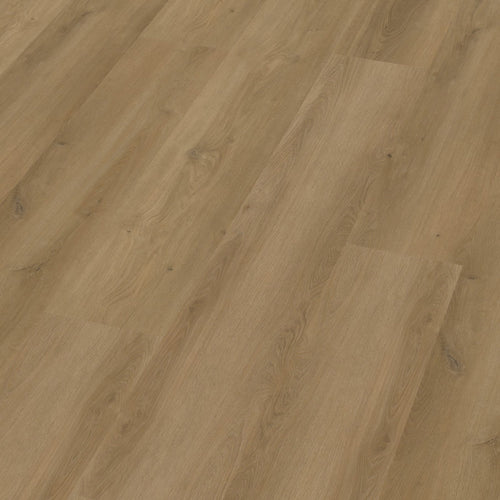 Espero dryback dark oak 3D