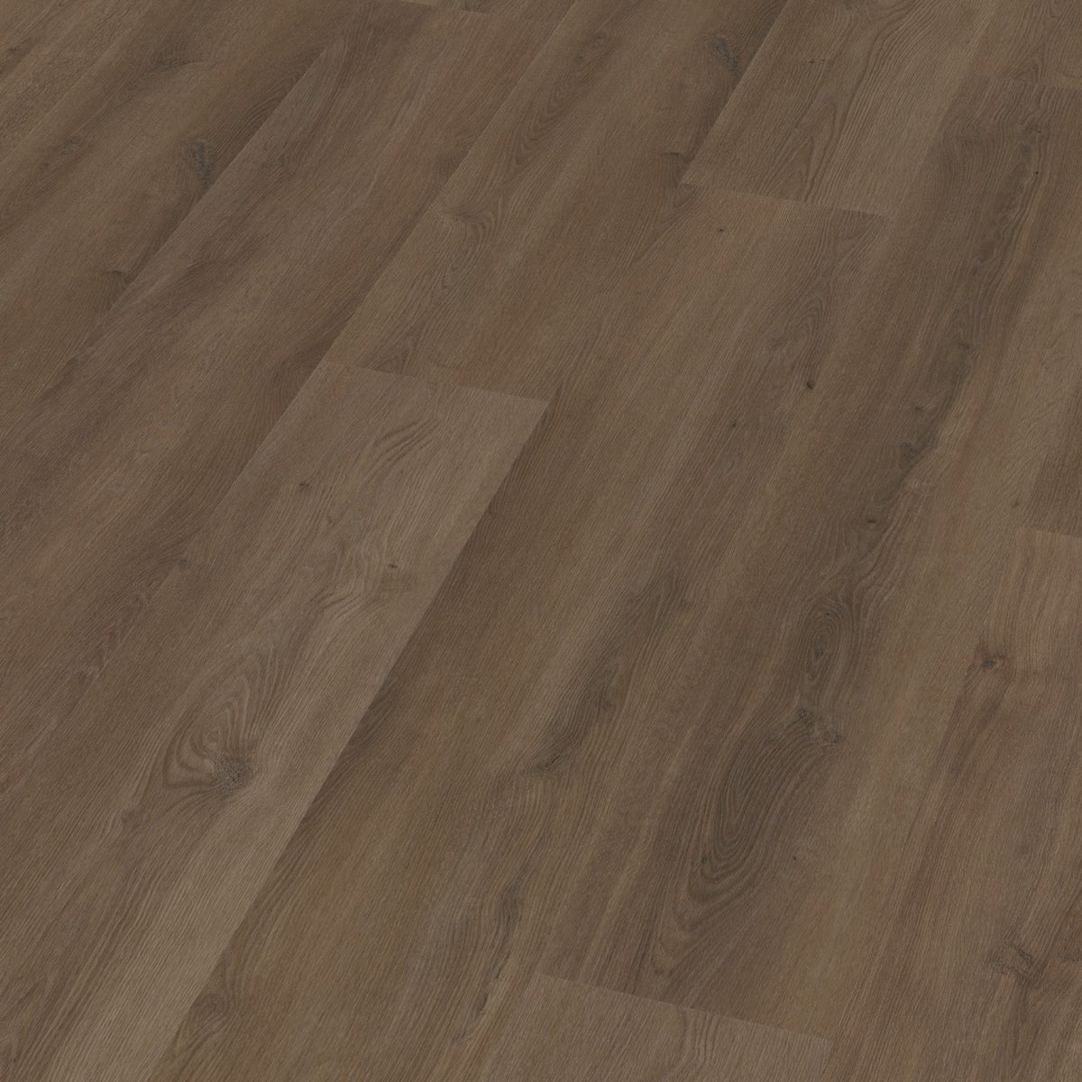 Espero dryback warm brown 3D