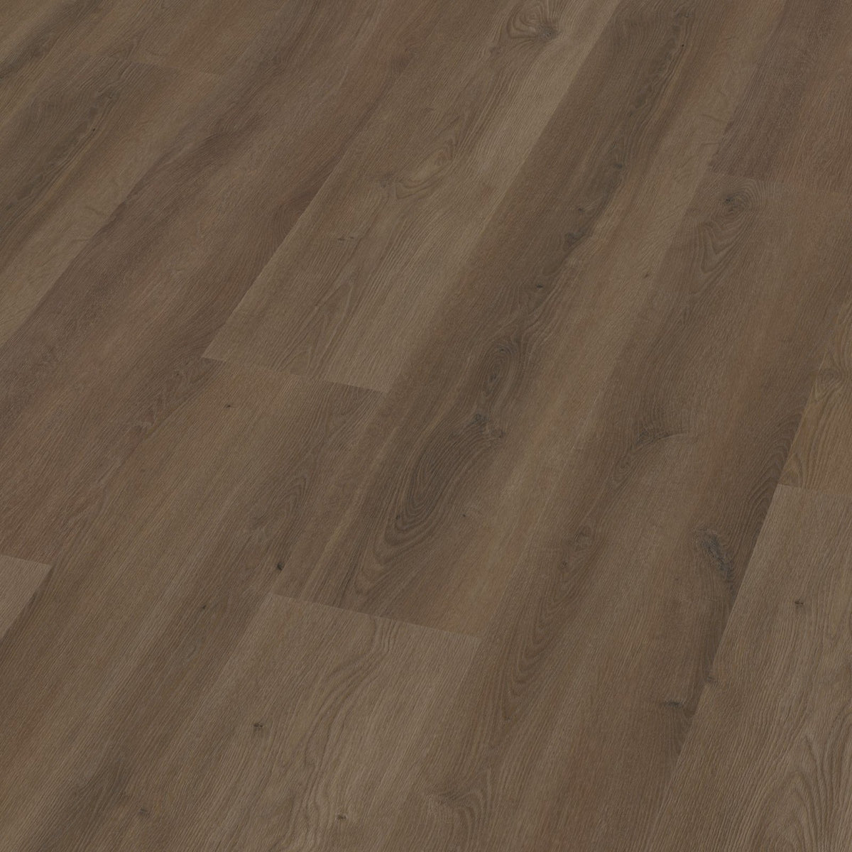 Espero click SRC warm brown 3D