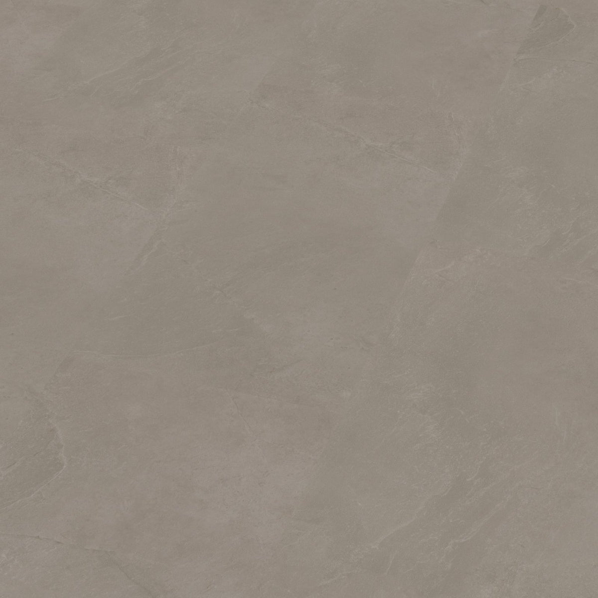 Noveno dryback warm grey 3D