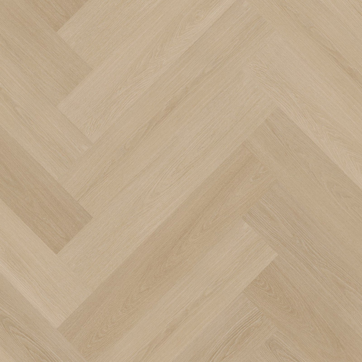 Spigato xl Soleno visgraat dryback natural
