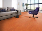Viretto dryback orange sfeer
