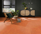 Viretto dryback orange sfeer