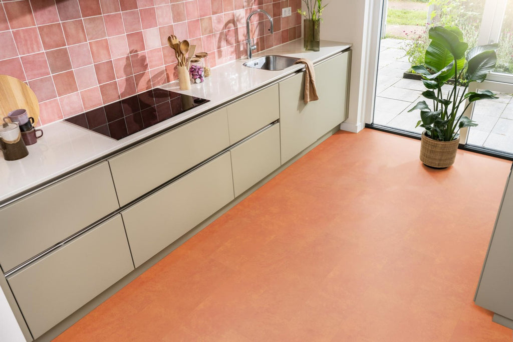 Viretto dryback orange sfeer
