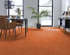 Viretto dryback orange sfeer