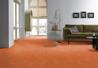 Viretto dryback orange sfeer
