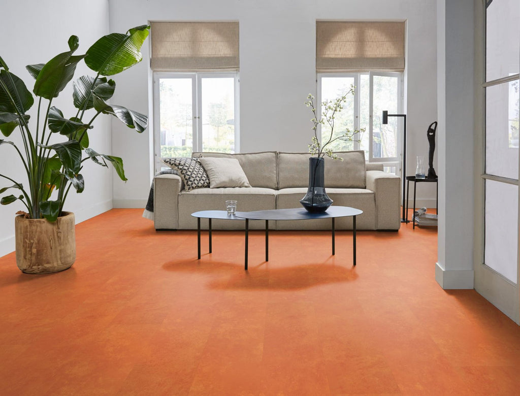 Viretto dryback orange sfeer