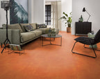 Viretto dryback orange sfeer