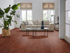 Viretto dryback dark orange sfeer