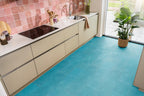 Viretto dryback blue sfeer