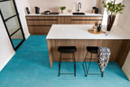 Viretto dryback blue sfeer