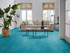 Viretto dryback blue sfeer